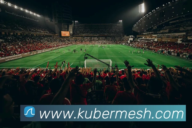 华体会体育APP 封面图